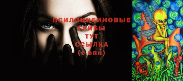 бошки Абаза